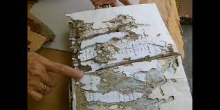 ∙ promo pengguna baru ∙ kurir instan ∙ bebas ongkir ∙ cicilan 0%. Rusak Parah Buku Kuno Koleksi Peninggalan Pb X Diperbaiki Merdeka Com