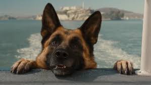 In order to save themselves and their humans, both species must unite in an unprecedented alliance to stop kitty galore from making the world her scratching post. It 039 S Movie Night On Discovery Family Catch Planet 51 Followed By Cats Amp Amp Dogs The Revenge Of Kitty Galore Startin Discovery Family Scoopnest