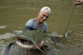The Giant Devil Catfish Is A Species Of Catfish Found In South Easia They Are Known To Attack And Eat Humans And Water Buffalo Being Responsible For The Kali River Gooch Attacks