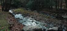 Horse camping is permitted at rancho del oso horse camp in big basin redwoods state park. Camp Creek State Park Campsite Photos Reservations Camping Info