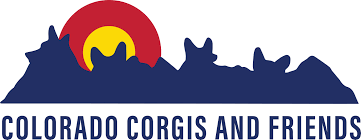 I'm really trying to find the best prices for a corgi. Pets For Adoption At Colorado Corgis And Friends In Denver Co Petfinder