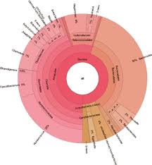 Krona Chart Of Bacteria From Turkey Cecum From 956 Of The