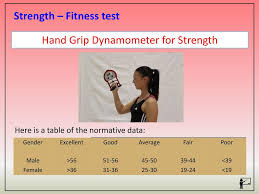 1 2 A Components Of Fitness Ppt Video Online Download