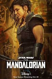 Gina joy carano (born april 16, 1982) is an american actress, television personality, fitness model, and former mixed martial artist (mma). Gina Carano Fired From The Mandalorian Following Abhorrent Social Media Posts Gamereactor