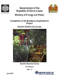 Image result for Strephonema mannii