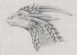 Bildergebnis Fur Drachenkopf Bleistift Zeichung Realistische Drachen Drachen Zeichnen Drachen Malen
