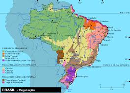 Mapas Do Brasil Estados E Capitais Do Brasil