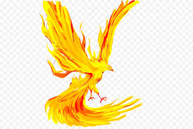 Fire is one of those subjects that can seem really intimidating to draw because of its zealous yet elusive nature. Eagle Drawing Cartoon Phoenix Pencil Lethalchris Drawing Fire Howto Tutorial Png Klipartz