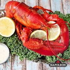 How To Cook A Whole Lobster Lobster Recipes Live Lobster How To Cook Lobster
