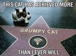 #grumpycat #meme for more grumpy cat stuff, gifts, and meme visit www.pinterest.com/erikakaisersot. 60 Cutest Cat Meme Meme Central