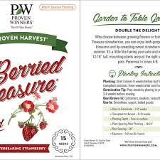 I love a refreshing cocktail, and margaritas rank high on my list of tasty tequila drinks, so making one in the to make a strawberry basil puree, you will need to blend make raspberry basil margaritas by substituting fresh raspberries for the strawberries. Berried Treasure Red Strawberry Fragaria Ananassa Proven Winners