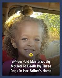 The dad says he didn't hear a thing and that the dogs were in their cages.  #storyoftheday