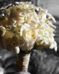 We did not find results for: Champagne Roses Stephanotis Bridal Bouquet In Wantagh Ny Numa S Florist