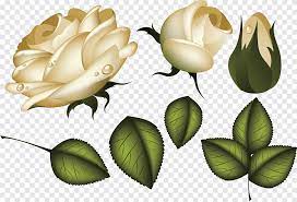 We did not find results for: Daun Bunga Mawar Mawar Daun Fotografi Png Pngegg