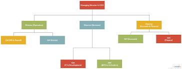 Organizational Software Company Online Charts Collection