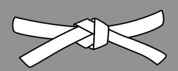 The ten black belt, or expert, ranks are called dan. What Do White Belts Need To Learn In 1st Year Of Bjj Grapplearts Bjj White Belt Bjj Belts