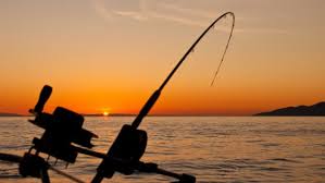 Check spelling or type a new query. 99 Arti Mimpi Mancing Ikan Warna Putih Dan Hitam Menurut Primbon Islam Nomor Mimpi Mancing