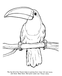 Google Image Result For Http Www Honkingdonkey Com Activity Pages Animal Drawings Animal Learning Zoo Coloring Pages Animal Coloring Pages Rainforest Animals