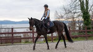 © leveres av nettavisen tar bachelor: Satsar Pa Reality Tv Blondt Har Og Silikon Er Identiteten Min