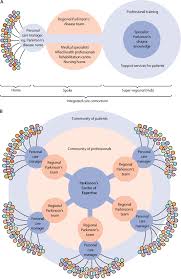 Lifetime care home health care and hospice. Integrated And Patient Centred Management Of Parkinson S Disease A Network Model For Reshaping Chronic Neurological Care The Lancet Neurology