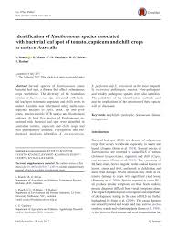 The pest management regulatory agency (pmra) recently announced the approval of an urmule registration for confine extra fungicide for suppression of bacterial leaf spot (xanthomonos campestris pv vitians) in canada. Pdf Identification Of Xanthomonas Species Associated With Bacterial Leaf Spot Of Tomato Capsicum And Chilli Crops In Eastern Australia