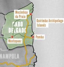 Echa un vistazo a los vídeos y fotos auténticos que los miembros de tripadvisor han tomado de monumentos, hoteles y atracciones de cabo delgado. 2021 Cabo Delgado Province Accommodation