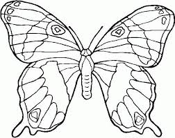 Schmetterling Malvorlagen Malvorlagen1001de