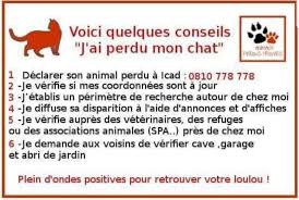 We did not find results for: Animaux 16 Perdus Trouves Animaux 16 Perdus Trouves