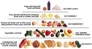 fibre rich foods