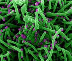 Fda Approved Drugs Active Against Covid 19
