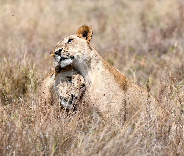 Tarangire National Park