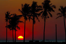 We did not find results for: Kenapa Langit Berwarna Merah