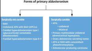 Image result for Hyperaldosteronism