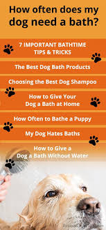 Fill the tub with warm water. 7 Important Dog Bathing Tips Dog Bath Dog Grooming Supplies Bathing A Puppy