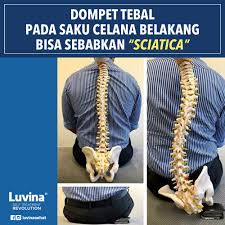We did not find results for: Tulang Ekor Luvina