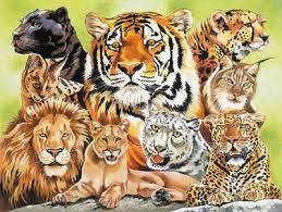 Create meme "Anti-Viking (Anti-Viking , tiger eye , the cat family ...