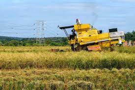 Posted by semalam on may 09, 2012. Exco Kedah Pertahankan Pembangunan Tanah Sawah Padi Malaysianow