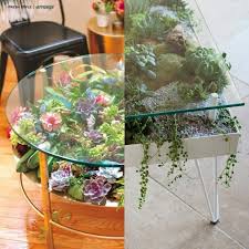 Diy Glass Top Succulent Table Diy Glass Succulent Table Top In 2020 Diy Garden Table Plant Table Diy Glass