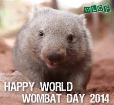 Pin On Wombats