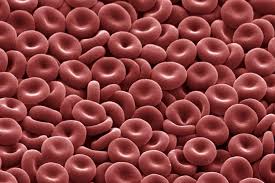 Understanding The Red Blood Cell Rbc Count