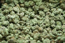 Image result for Marijuana