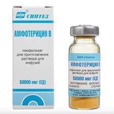 Image result for Amphotericin B
