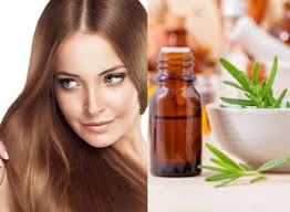 Many essential oils show promise for promoting hair growth, including peppermint, bergamot, and jojoba oil. Hair Care Routine Best Hair Oil To Treat Different Hair Related Problems Beauty News India Tv