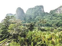 May 26, 2021 · masuk. Mongabay Travel Beginilah Kawasan Wisata Rammang Rammang Bentuk Perlawanan Warga Terhadap Tambang Mongabay Co Id Mongabay Co Id