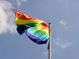 Entre y conozca nuestras increíbles ofertas y promociones. Bandera Gay Grande Para Exterior Compra En Tienda Online Lgbt