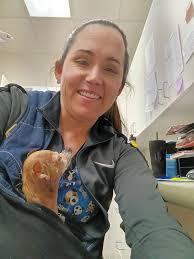 Tucson, AZ here. I have a history of competitive English riding and  currently don't own a horse. I'm looking to rekindle my love for riding and  find someone who shares my love