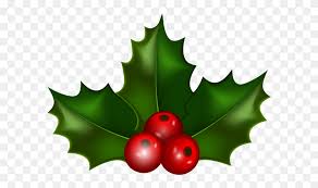 As you might have realized that during christmas it will be a lot of friends coming and yet that might be such a great moment that last once, taking pictures is the time you freeze the moment. Christmas Holly Png Clip Holly Border Clip Art Stunning Free Transparent Png Clipart Images Free Download