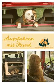 Autofahren Mit Hund Ein Ratgeber Hunde Hund Angst Und Hund Auto