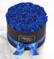 Maybe you would like to learn more about one of these? Magnificent Roses Preserved Blue Velvet Roses In 2021 Blue Rose Bouquet Flower Gift Ideas Flower Box Gift