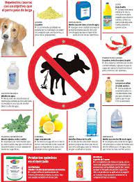 Los Remedios Quimicos Y Caseros Que Evitan Las Micciones Que Los Perros Realizan Por Instinto Para Repelente Para Perros Consejos Para Mascotas Orina De Perro